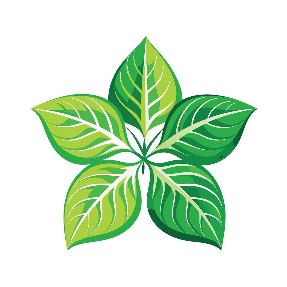 Realistic Beautiful Leaves Illustration vector