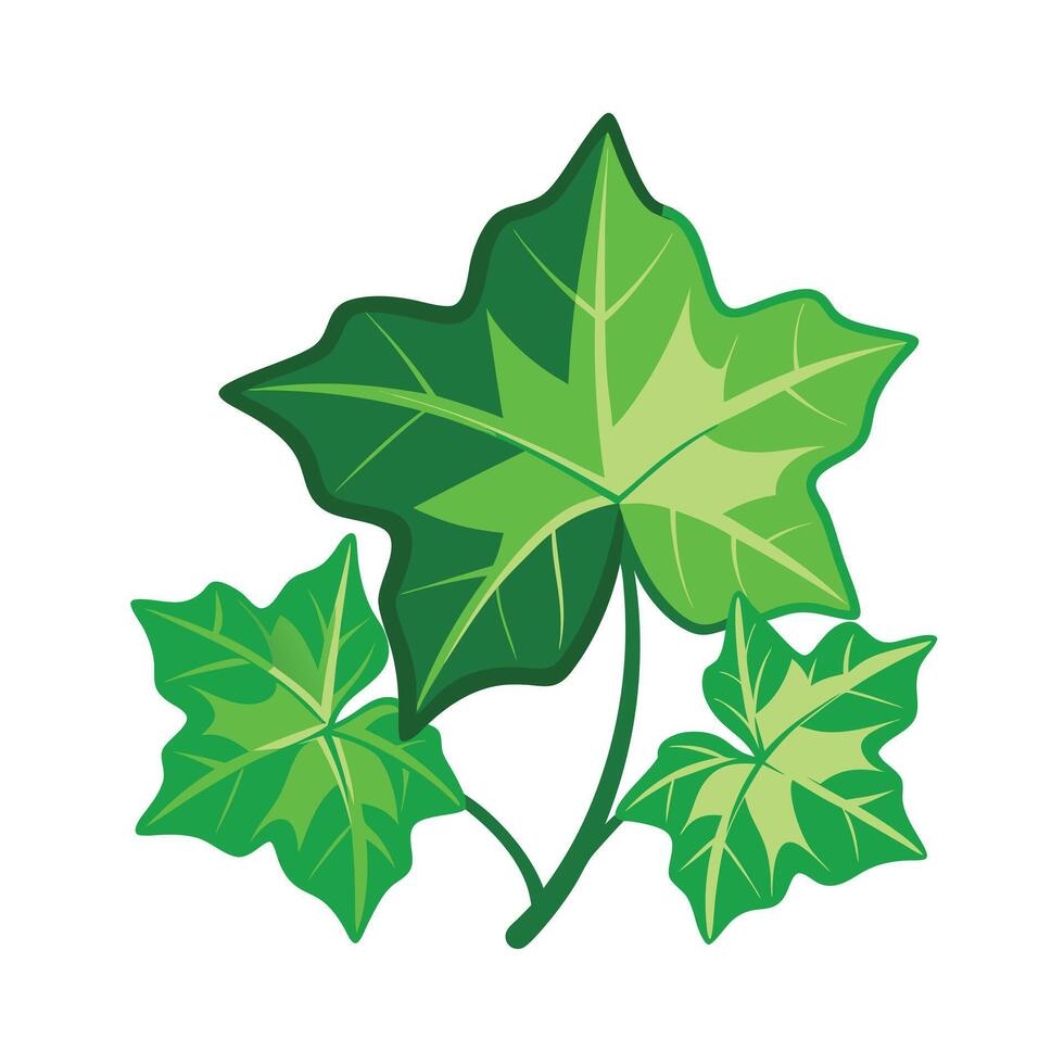 Realistic Beautiful Leaves Illustration vector