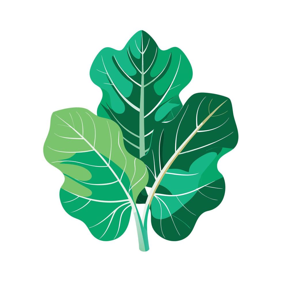 Realistic Beautiful Leaves Illustration vector