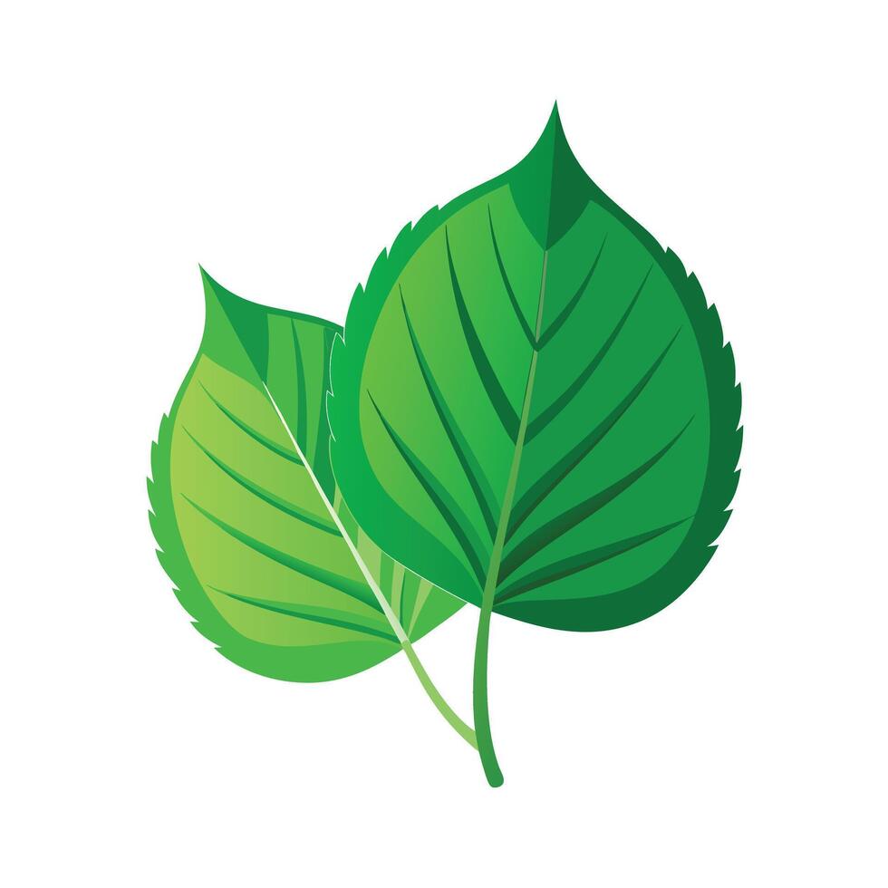 Realistic Beautiful Leaves Illustration vector