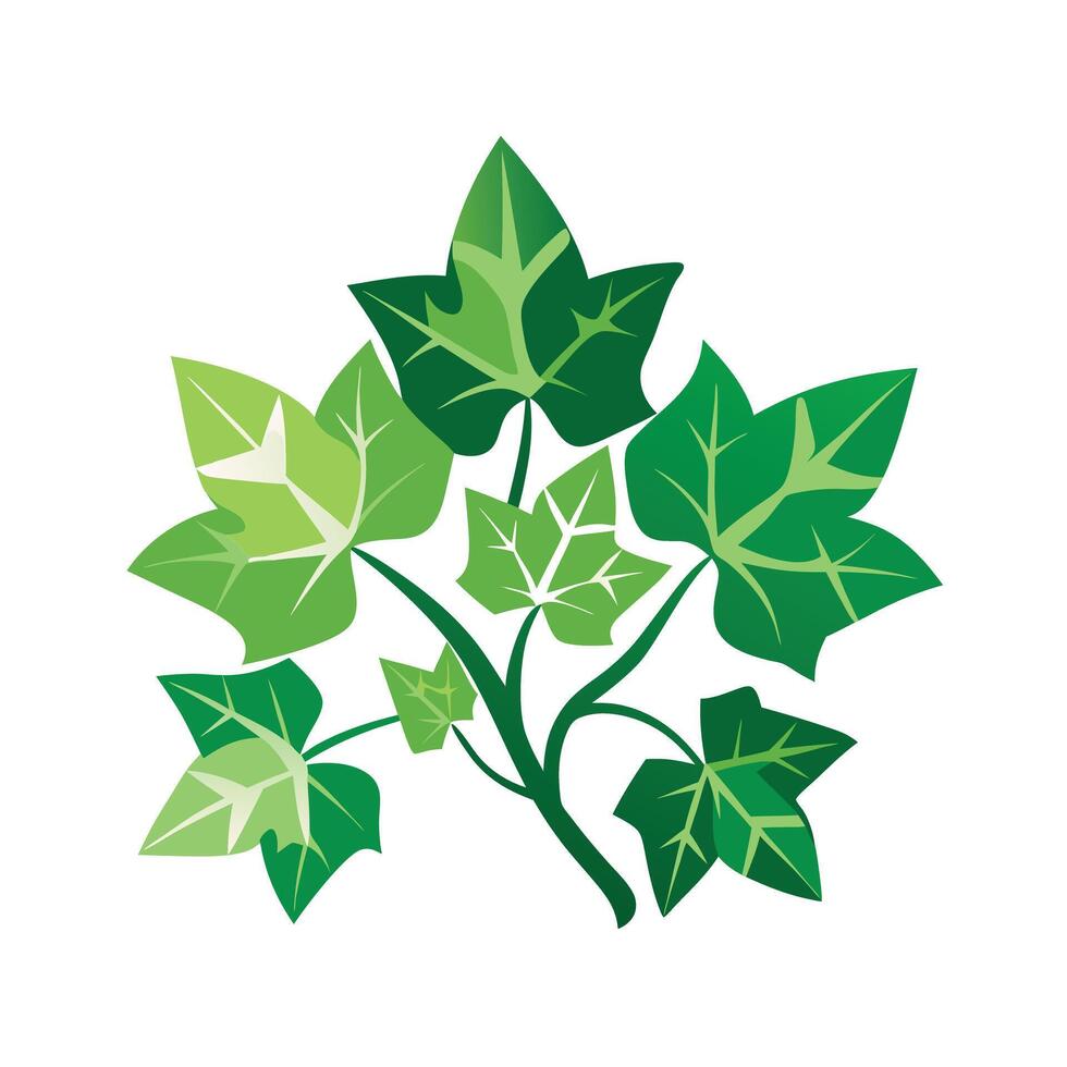 Realistic Beautiful Leaves Illustration vector