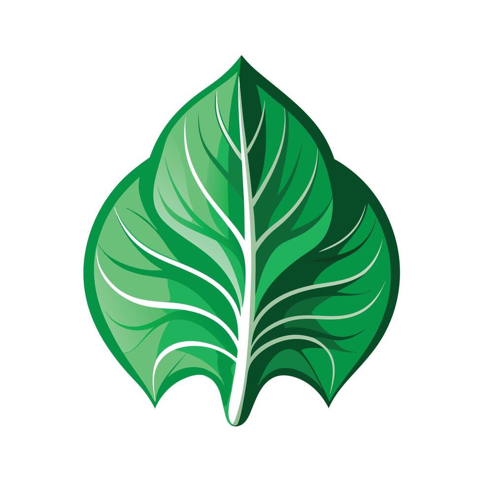 Realistic Beautiful Leaves Illustration vector