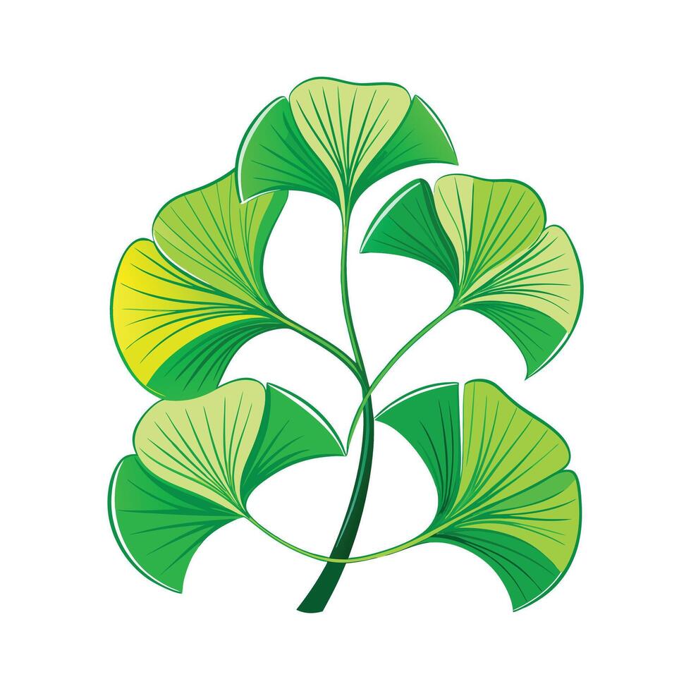 Realistic Beautiful Leaves Illustration vector