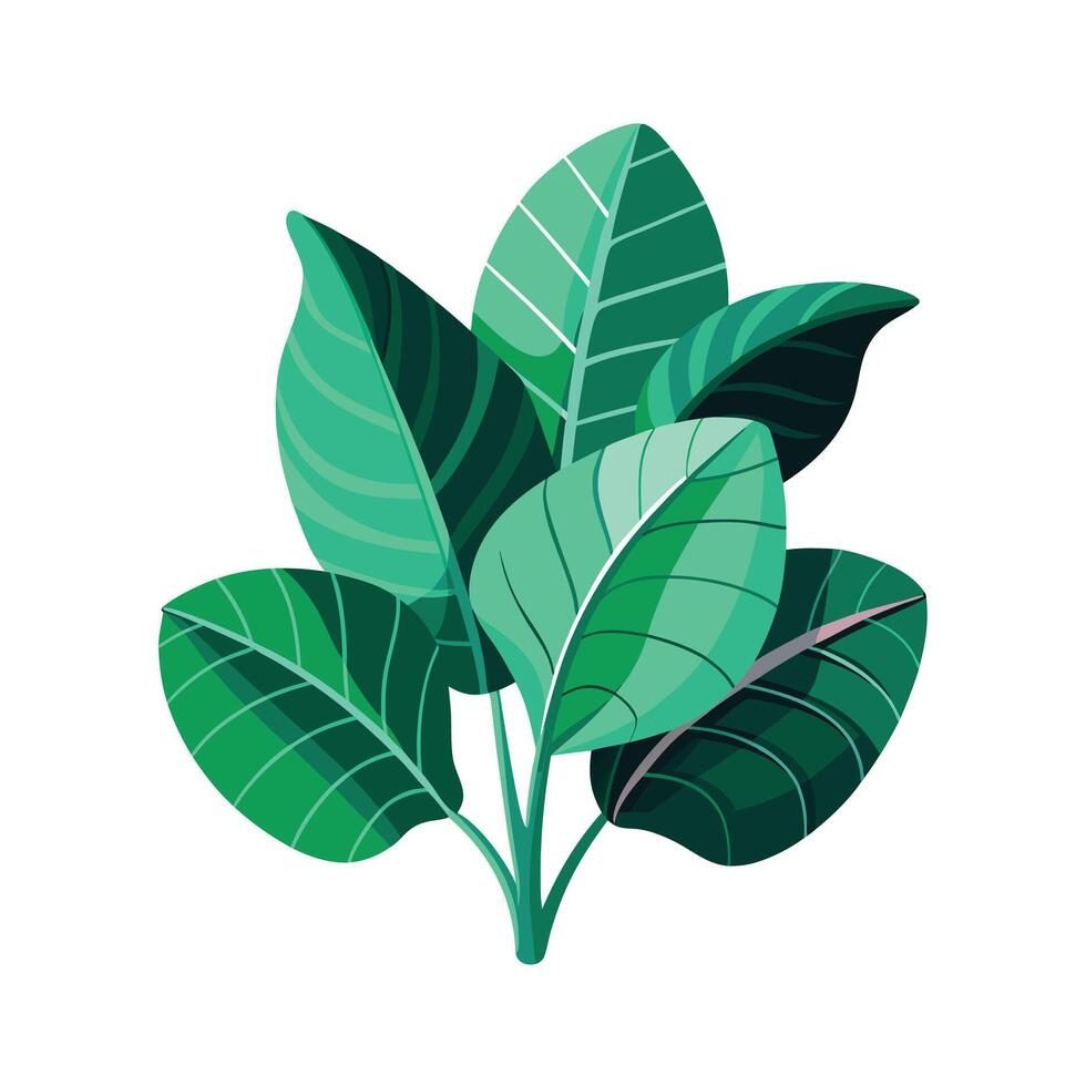 Realistic Beautiful Leaves Illustration vector