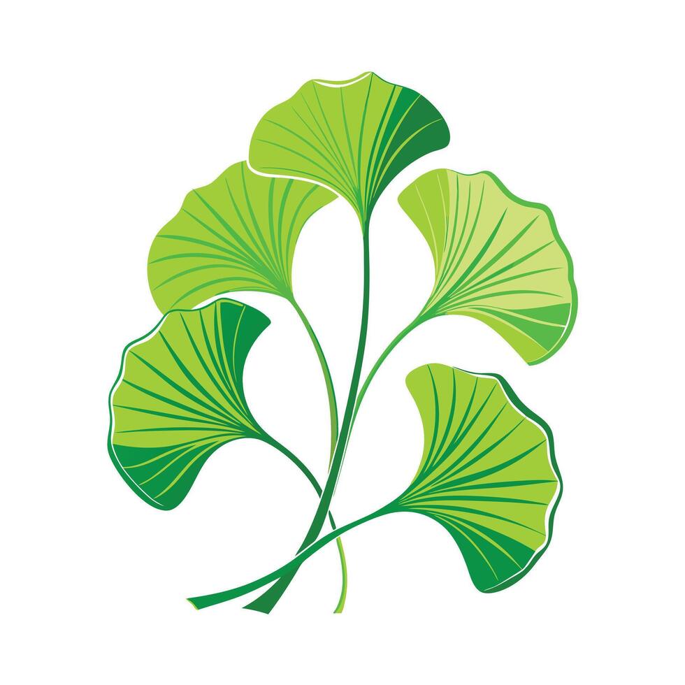 Realistic Beautiful Leaves Illustration vector