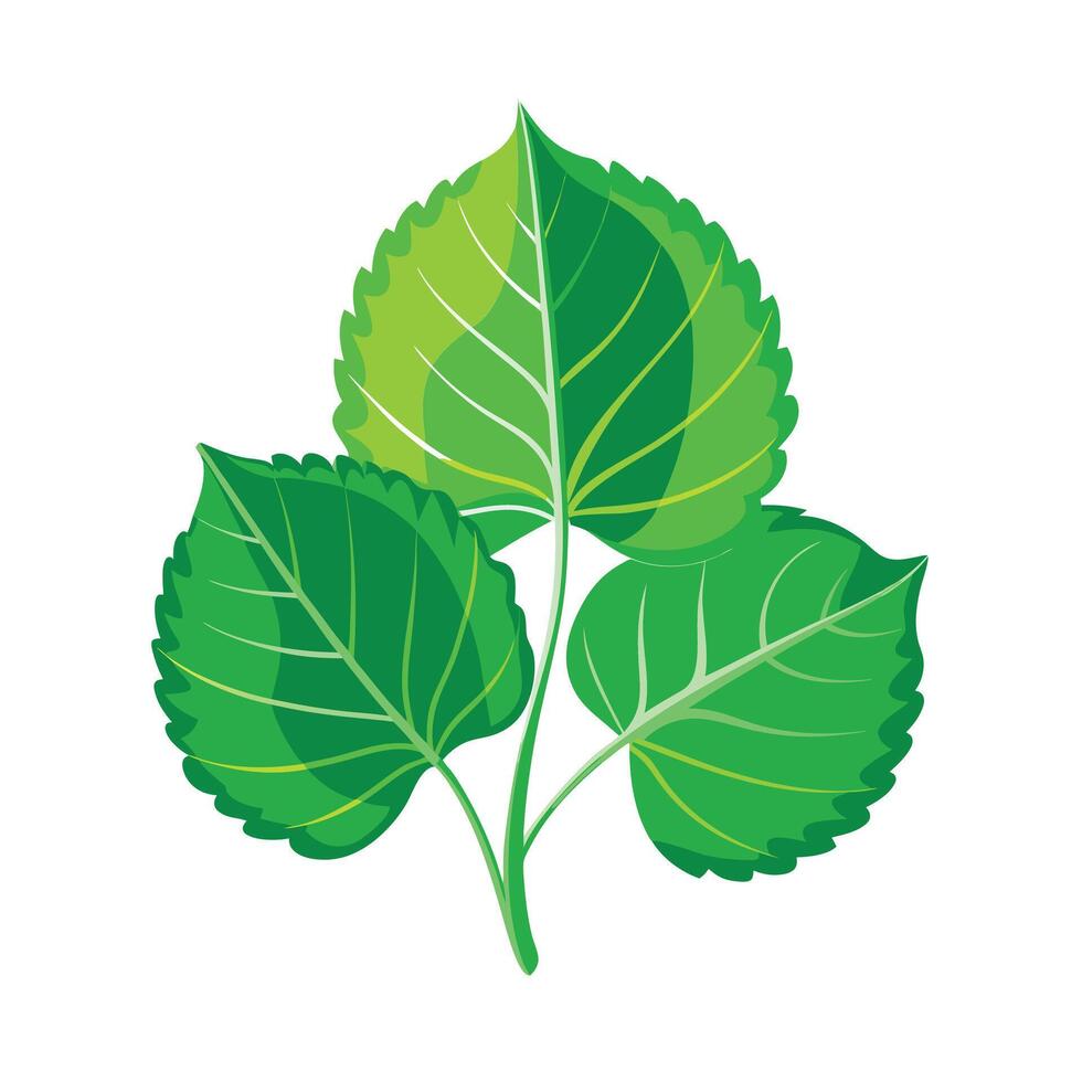 Realistic Beautiful Leaves Illustration vector