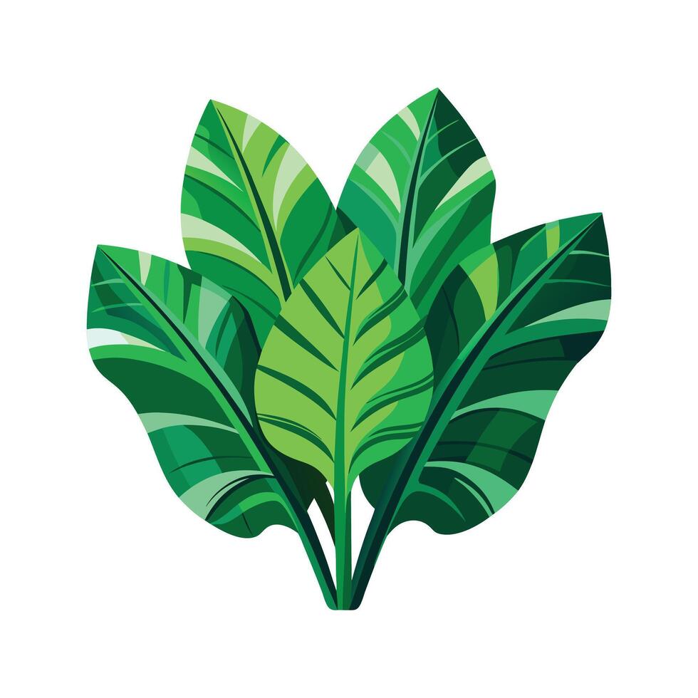 Realistic Beautiful Leaves Illustration vector