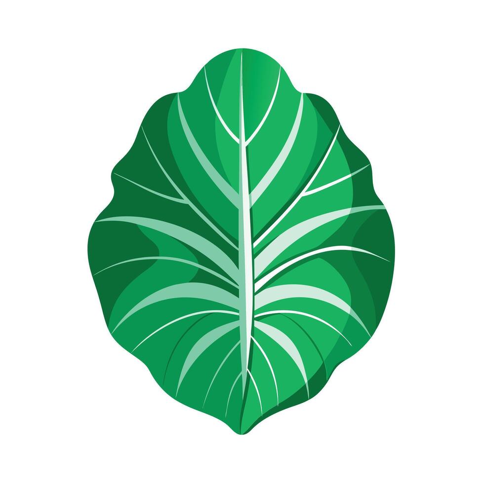 Realistic Beautiful Leaves Illustration vector