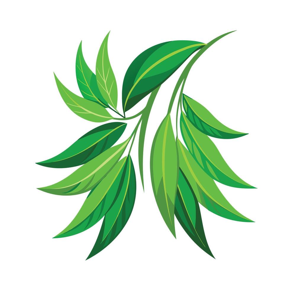 Realistic Beautiful Leaves Illustration vector