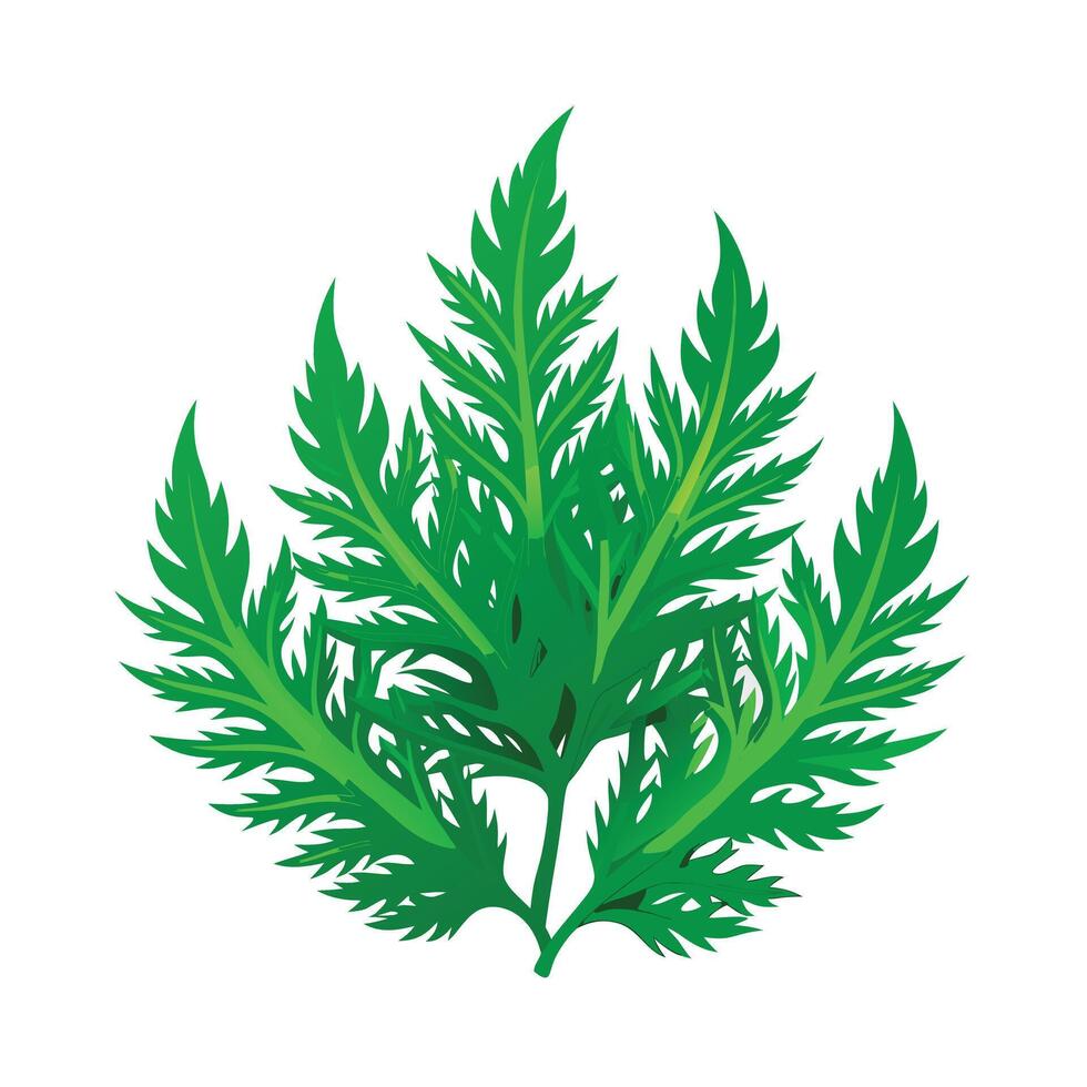 Realistic Beautiful Leaves Illustration vector
