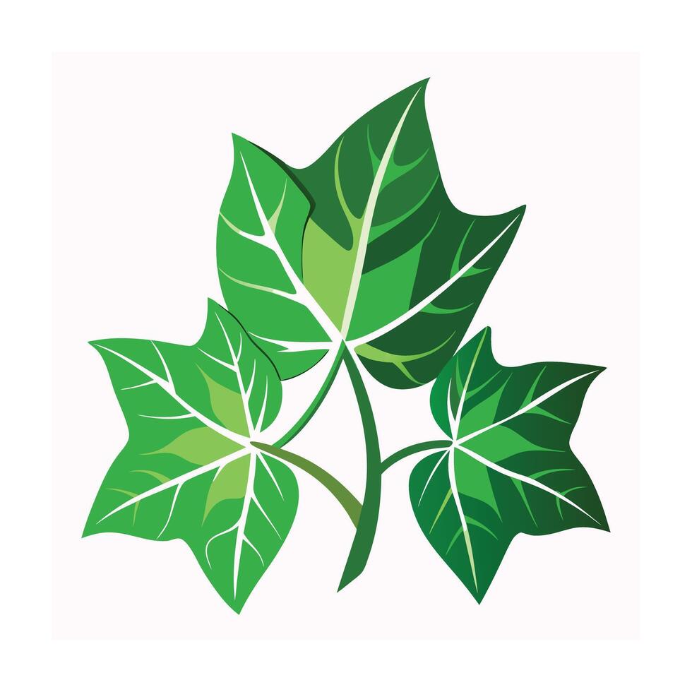Realistic Beautiful Leaves Illustration vector