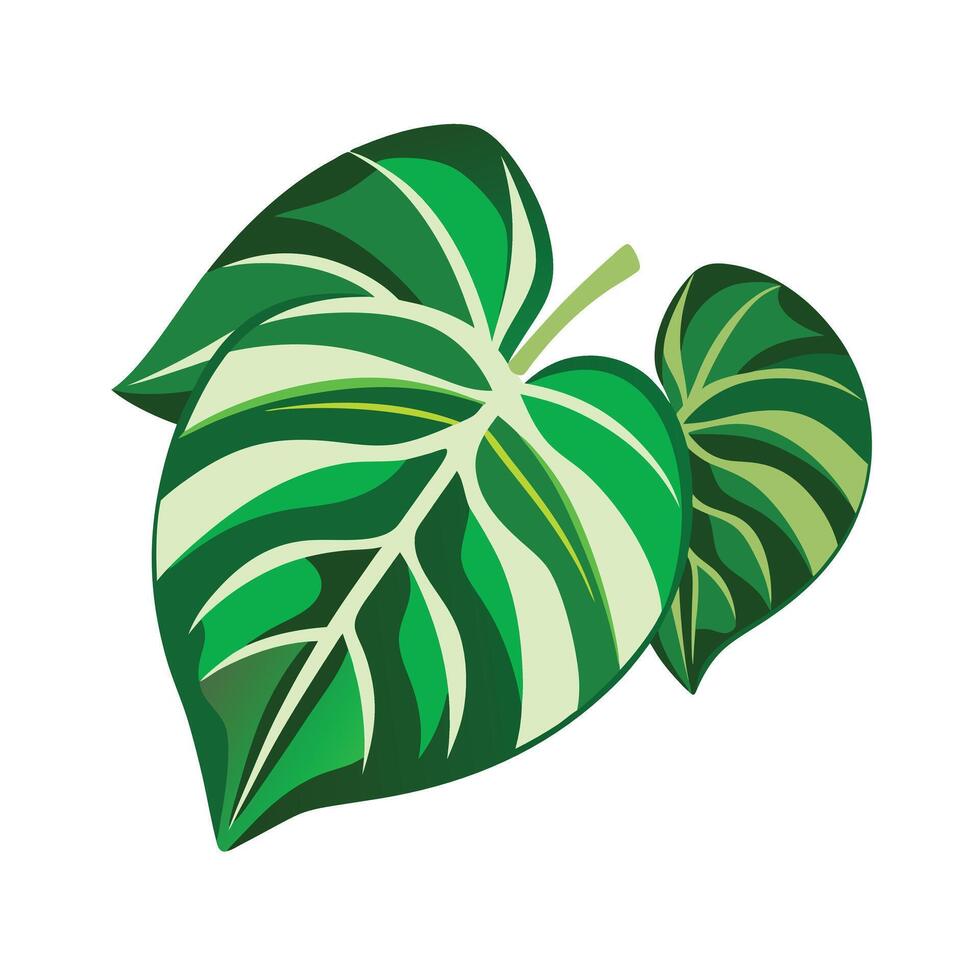 Realistic Beautiful Leaves Illustration vector