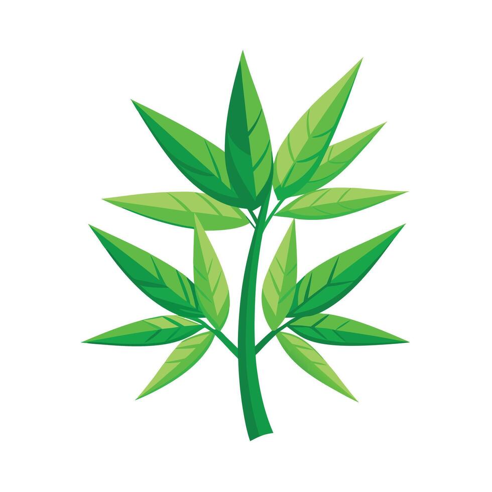 Realistic Beautiful Leaves Illustration vector