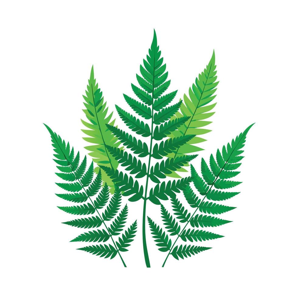 Realistic Beautiful Leaves Illustration vector