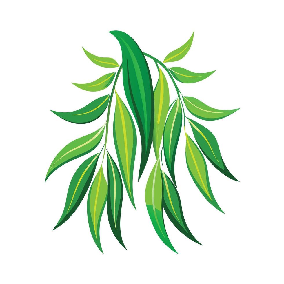 Realistic Beautiful Leaves Illustration vector