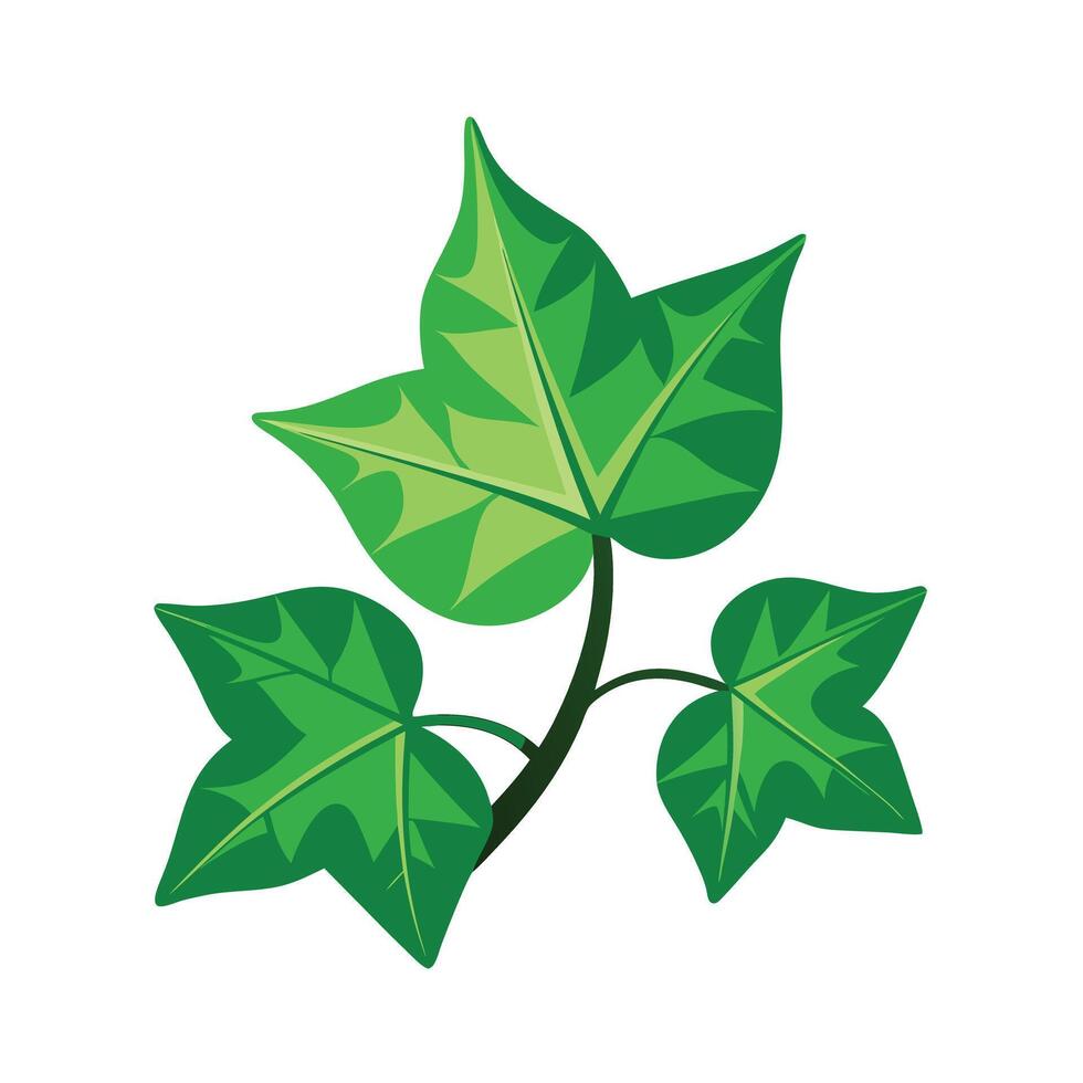 Realistic Beautiful Leaves Illustration vector