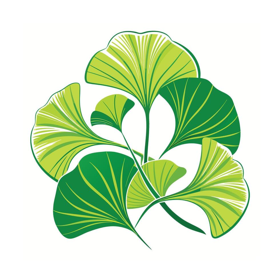 Realistic Beautiful Leaves Illustration vector