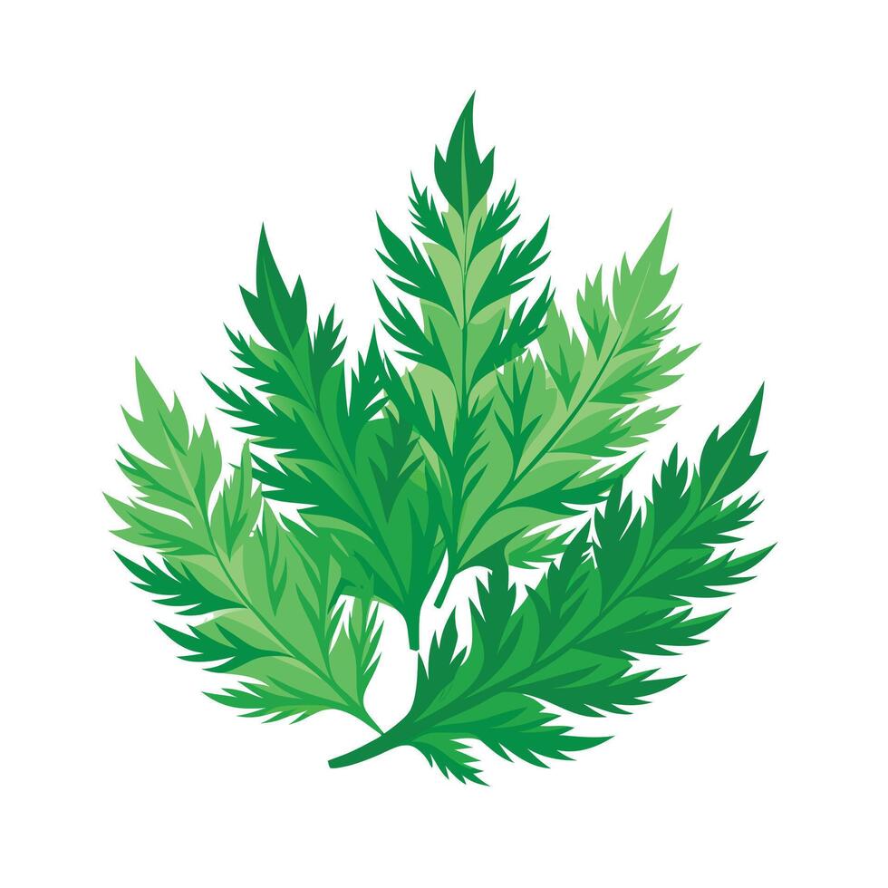 Realistic Beautiful Leaves Illustration vector