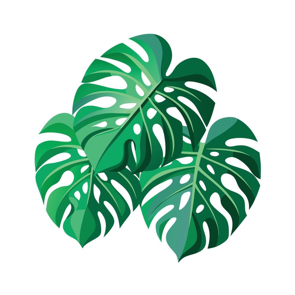 Realistic Beautiful Leaves Illustration vector