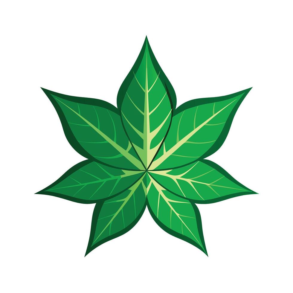 Realistic Beautiful Leaves Illustration vector