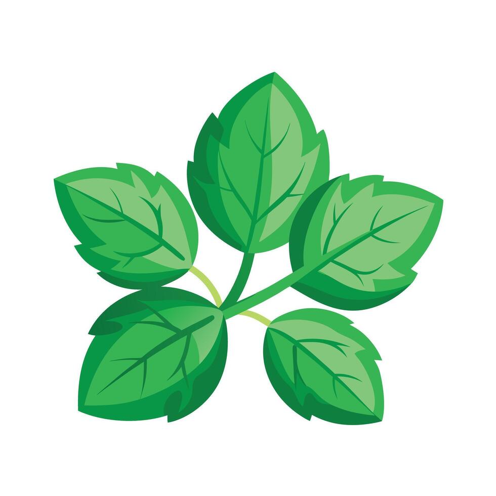 Realistic Beautiful Leaves Illustration vector