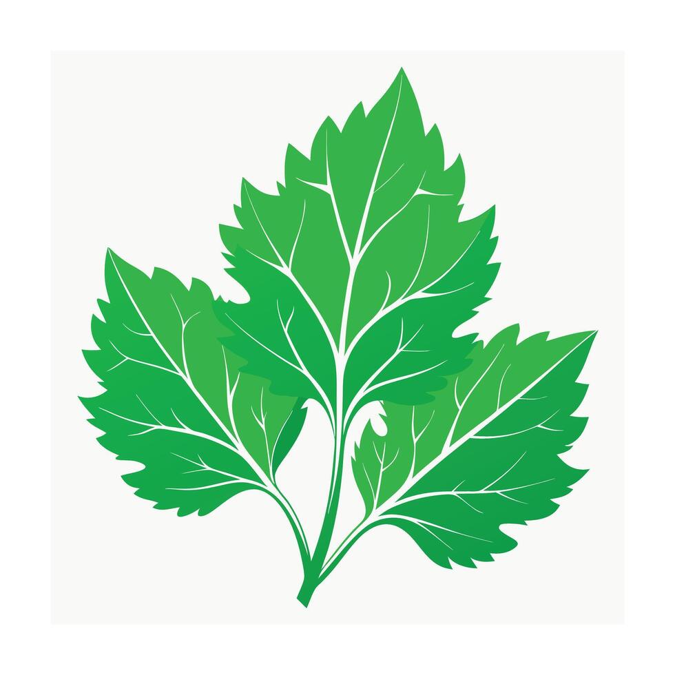 Realistic Beautiful Leaves Illustration vector
