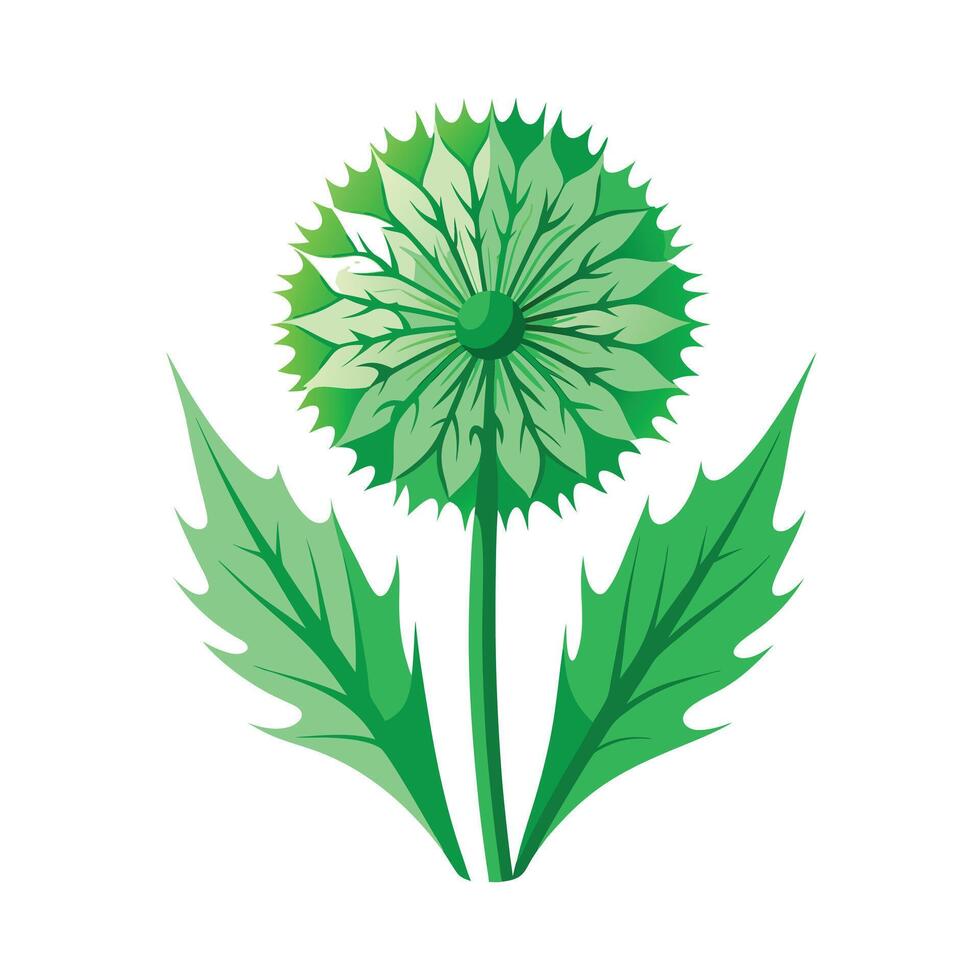 Realistic Beautiful Leaves Illustration vector