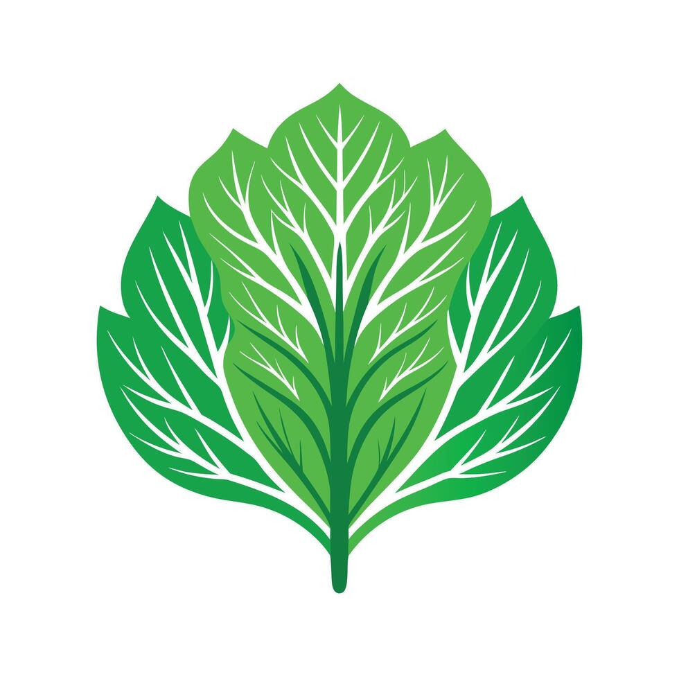 Realistic Beautiful Leaves Illustration vector