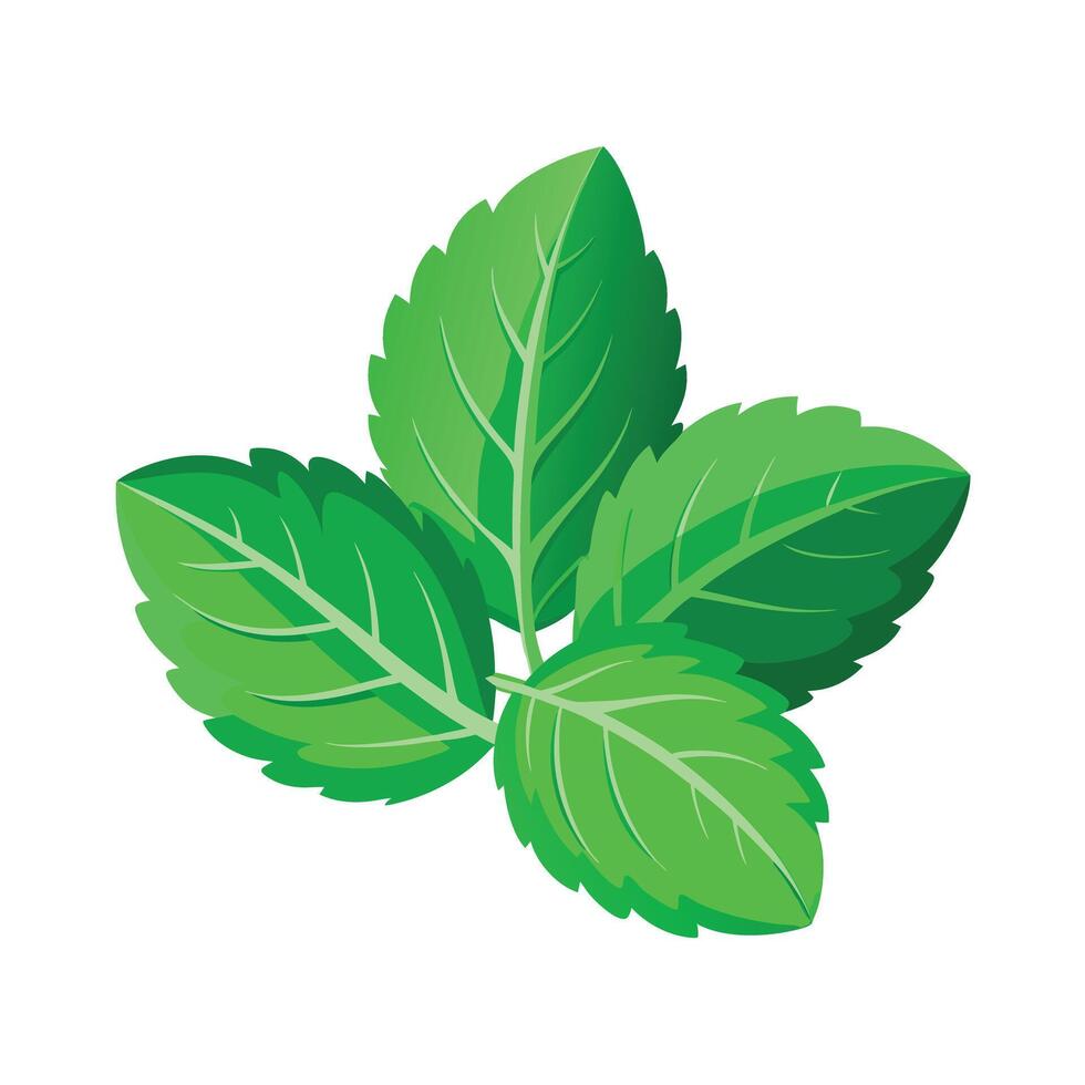 Realistic Beautiful Leaves Illustration vector