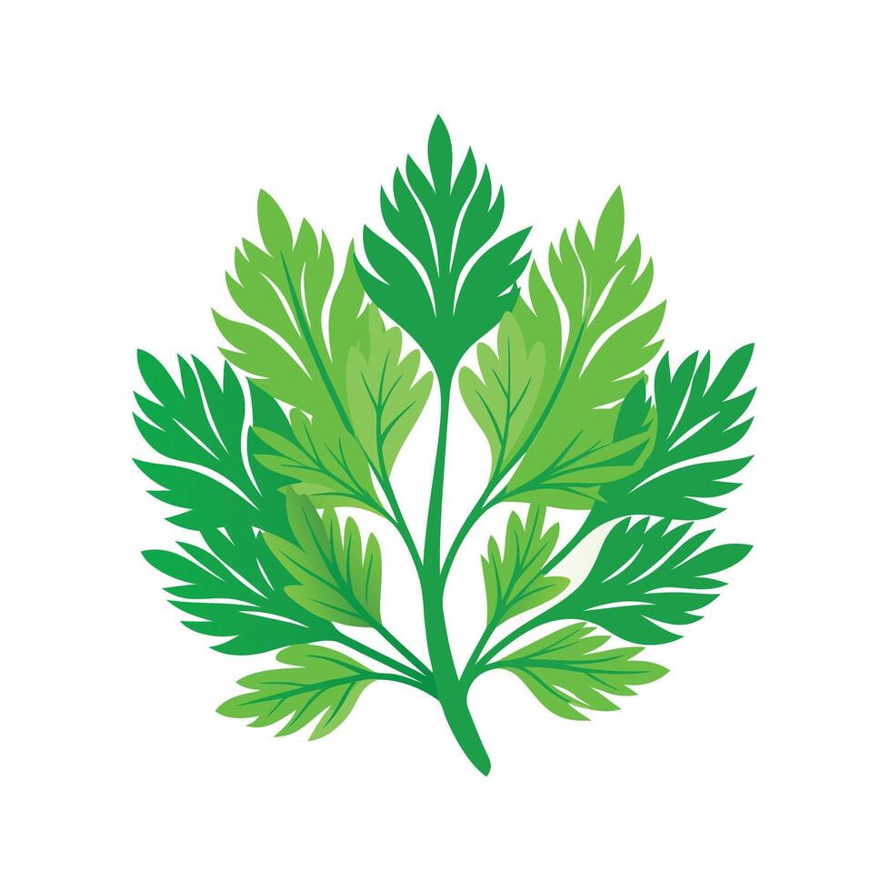Realistic Beautiful Leaves Illustration vector