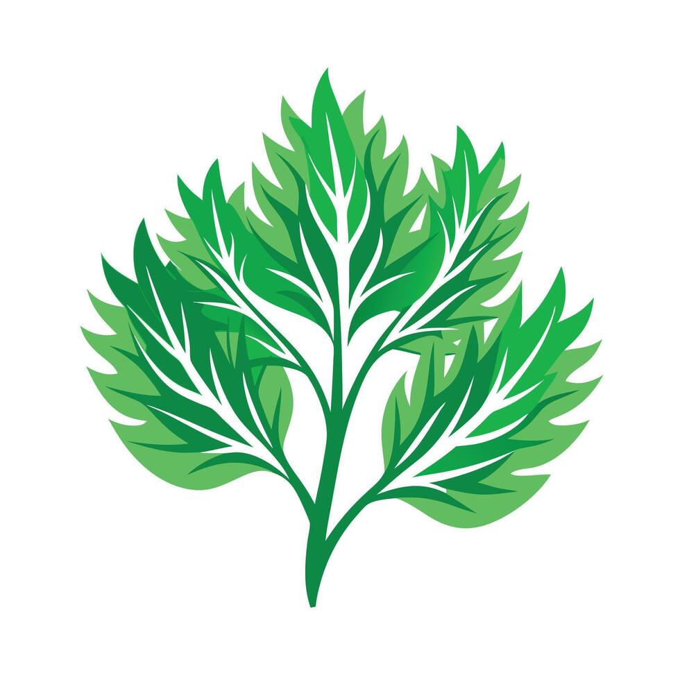 Realistic Beautiful Leaves Illustration vector