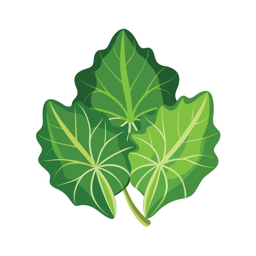 Realistic Beautiful Leaves Illustration vector