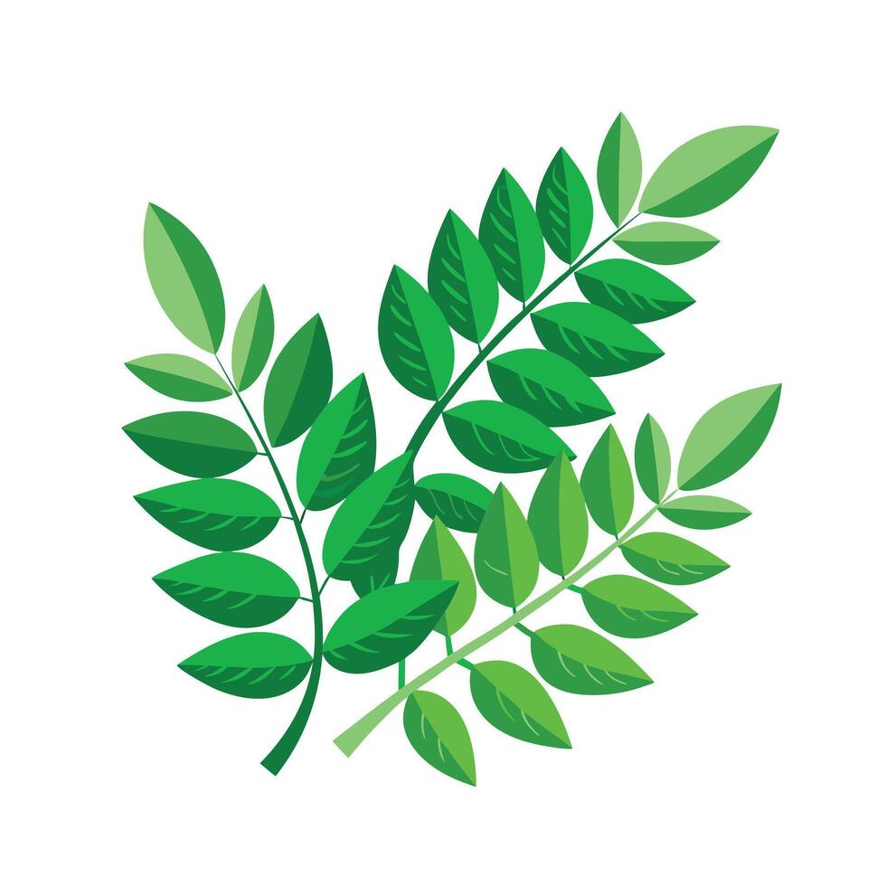 Realistic Beautiful Leaves Illustration vector