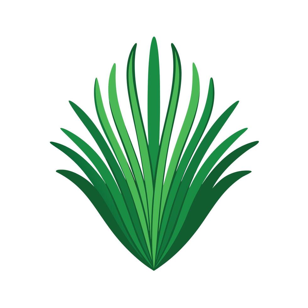 Realistic Beautiful Leaves Illustration vector