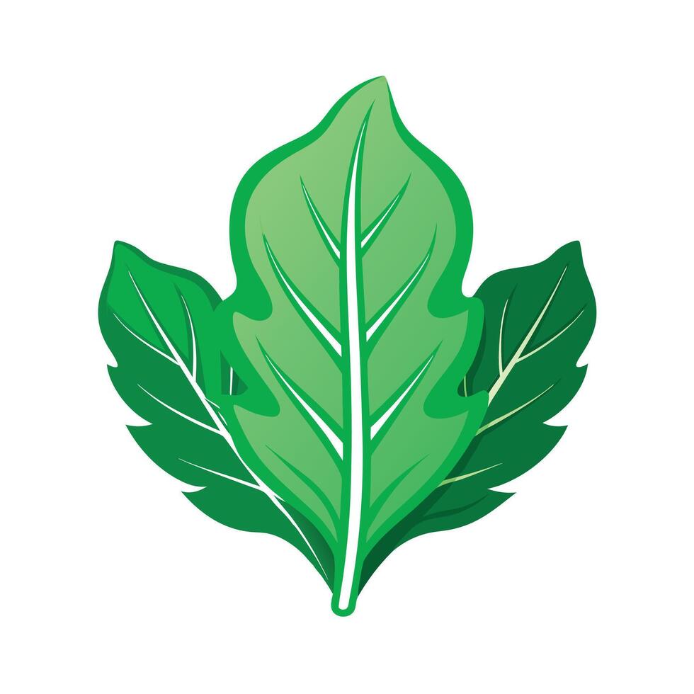 Realistic Beautiful Leaves Illustration vector