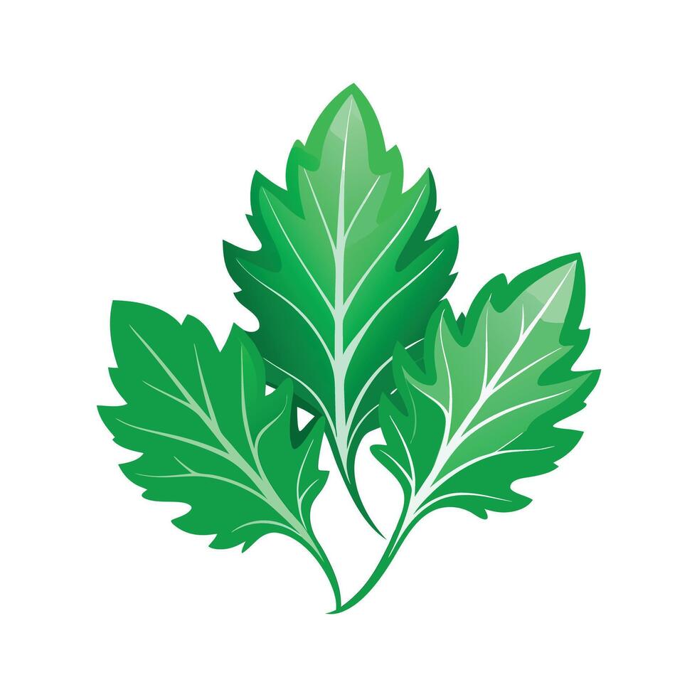 Realistic Beautiful Leaves Illustration vector