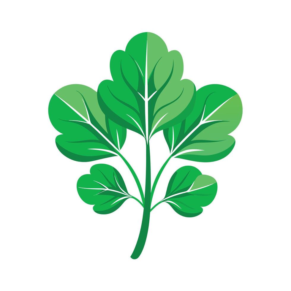 Realistic Beautiful Leaves Illustration vector