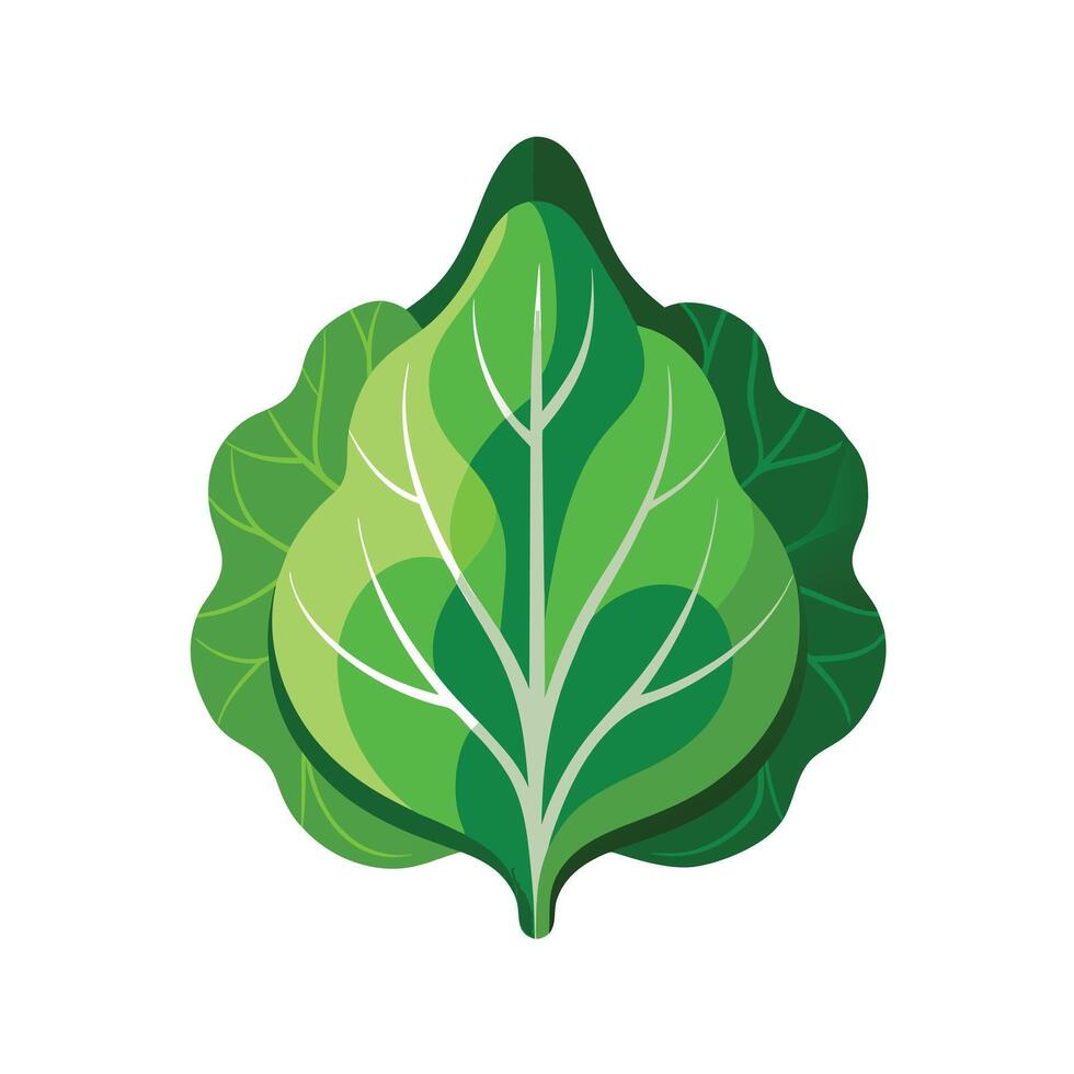 Realistic Beautiful Leaves Illustration vector