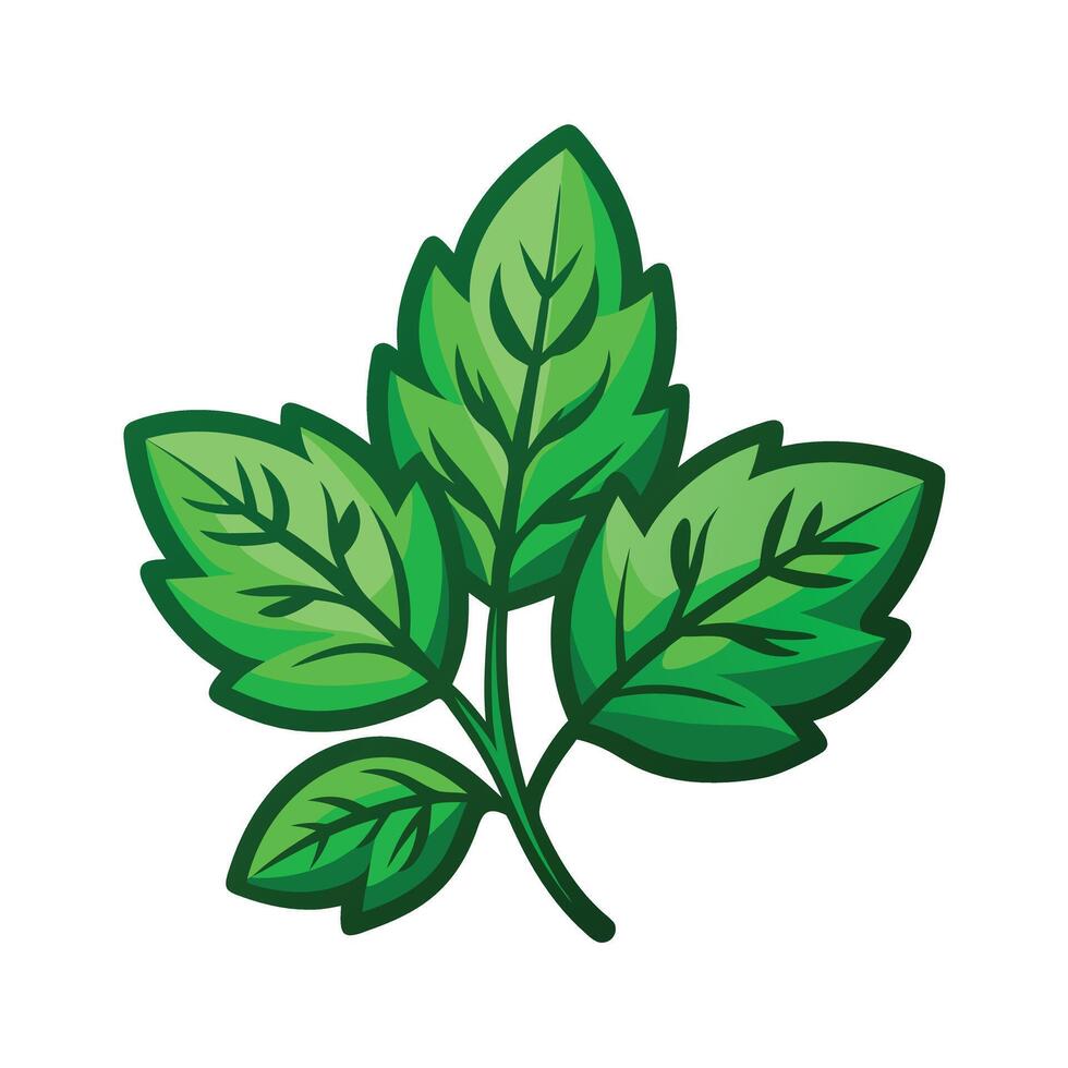 Realistic Beautiful Leaves Illustration vector