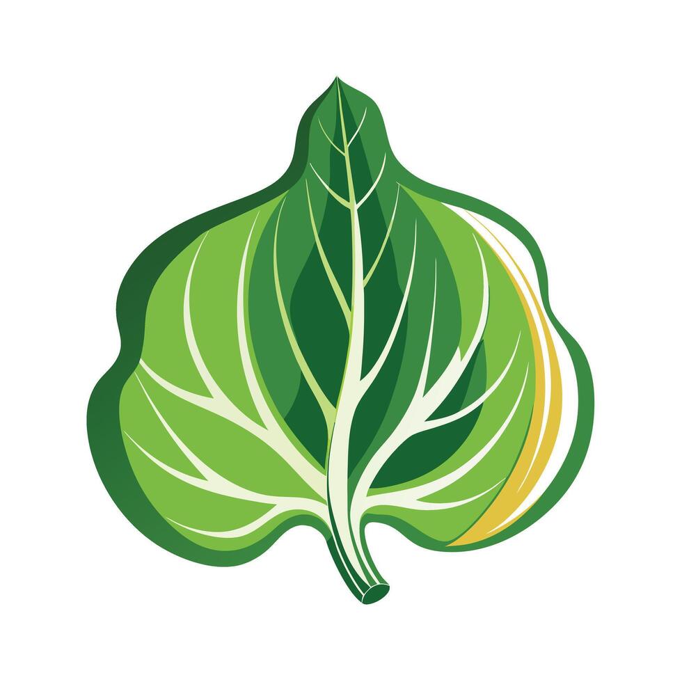 Realistic Beautiful Leaves Illustration vector