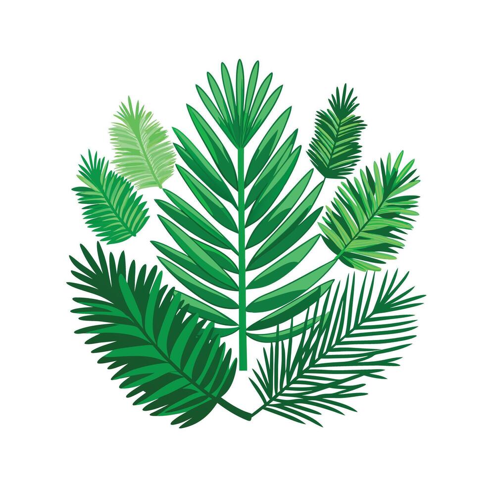 Realistic Beautiful Leaves Illustration vector