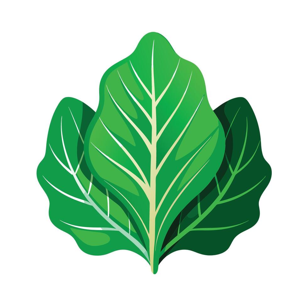 Realistic Beautiful Leaves Illustration vector