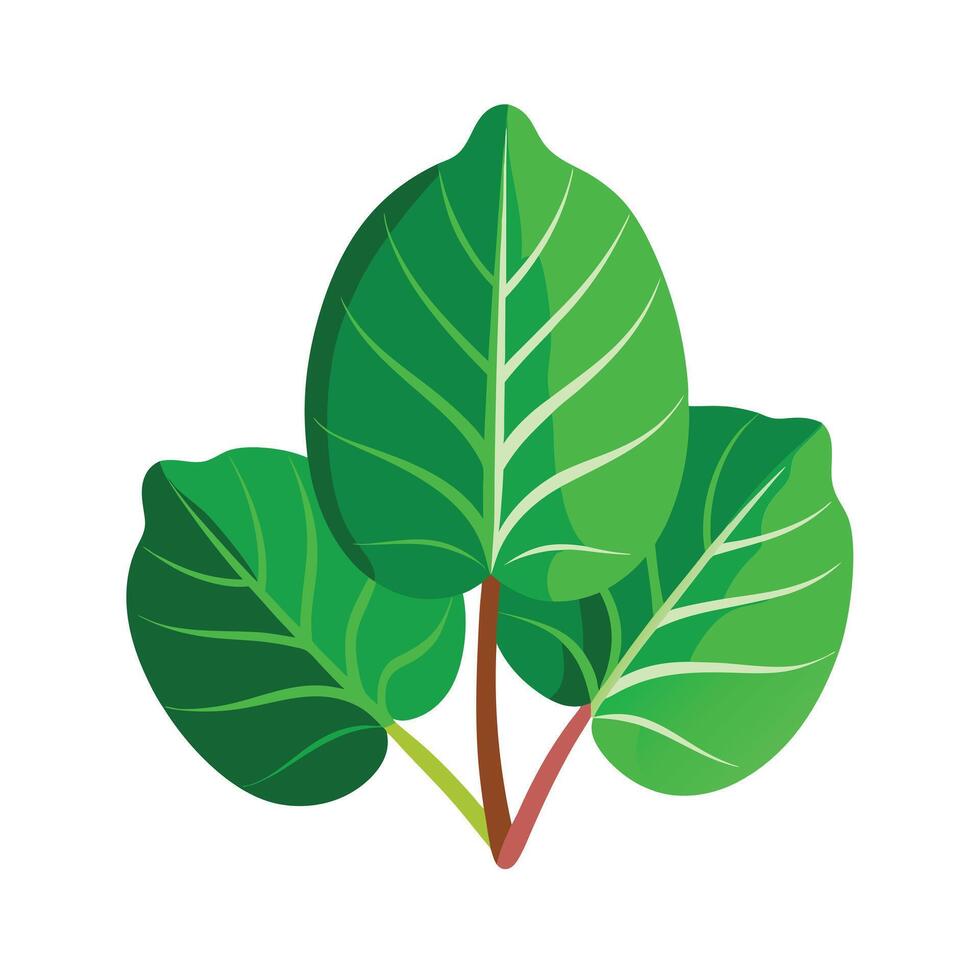 Realistic Beautiful Leaves Illustration vector