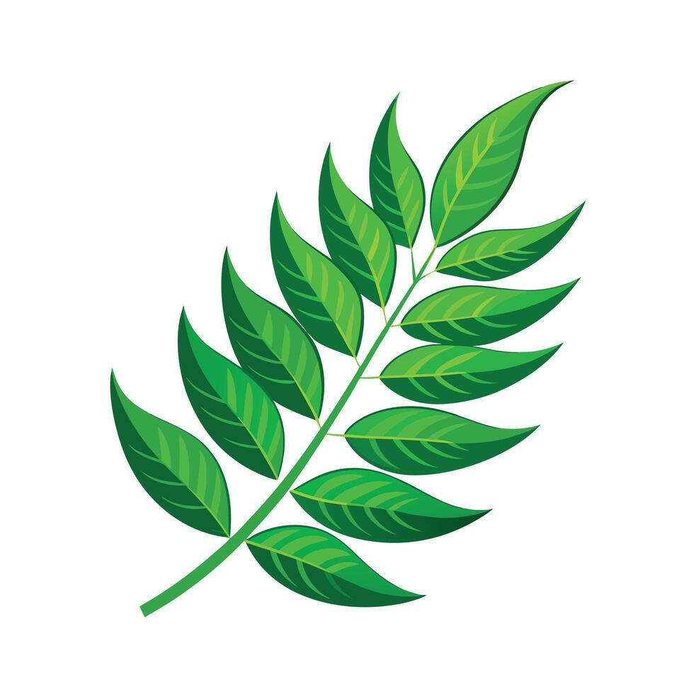 Realistic Beautiful Leaves Illustration vector