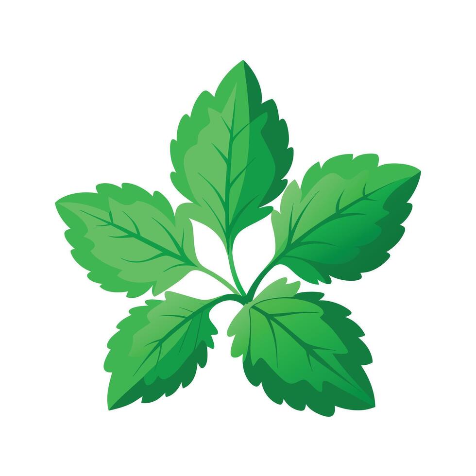 Realistic Beautiful Leaves Illustration vector