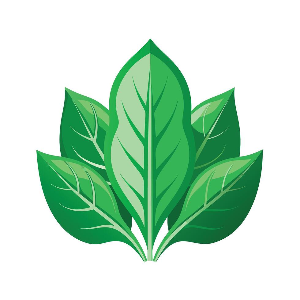 Realistic Beautiful Leaves Illustration vector
