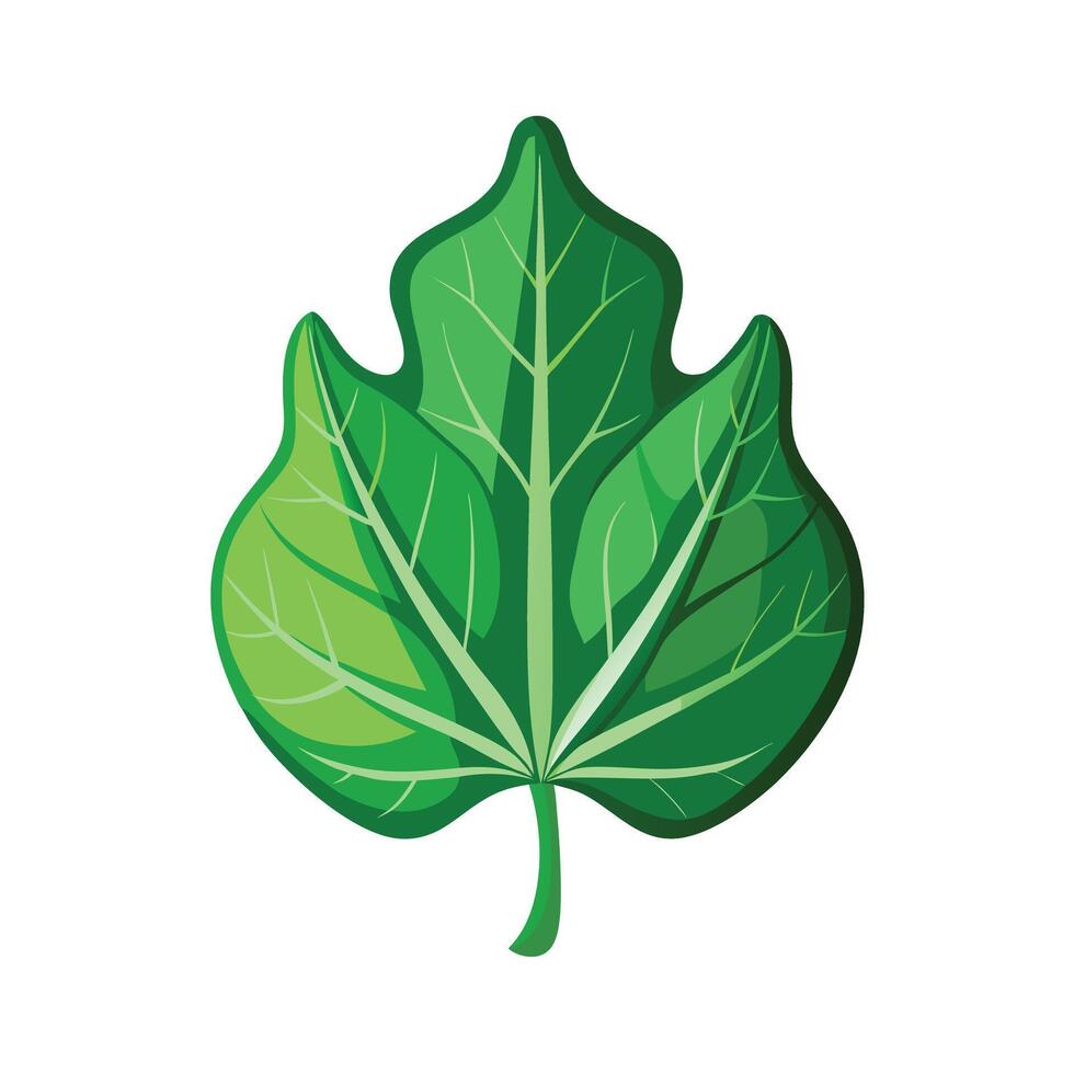 Realistic Beautiful Leaves Illustration vector