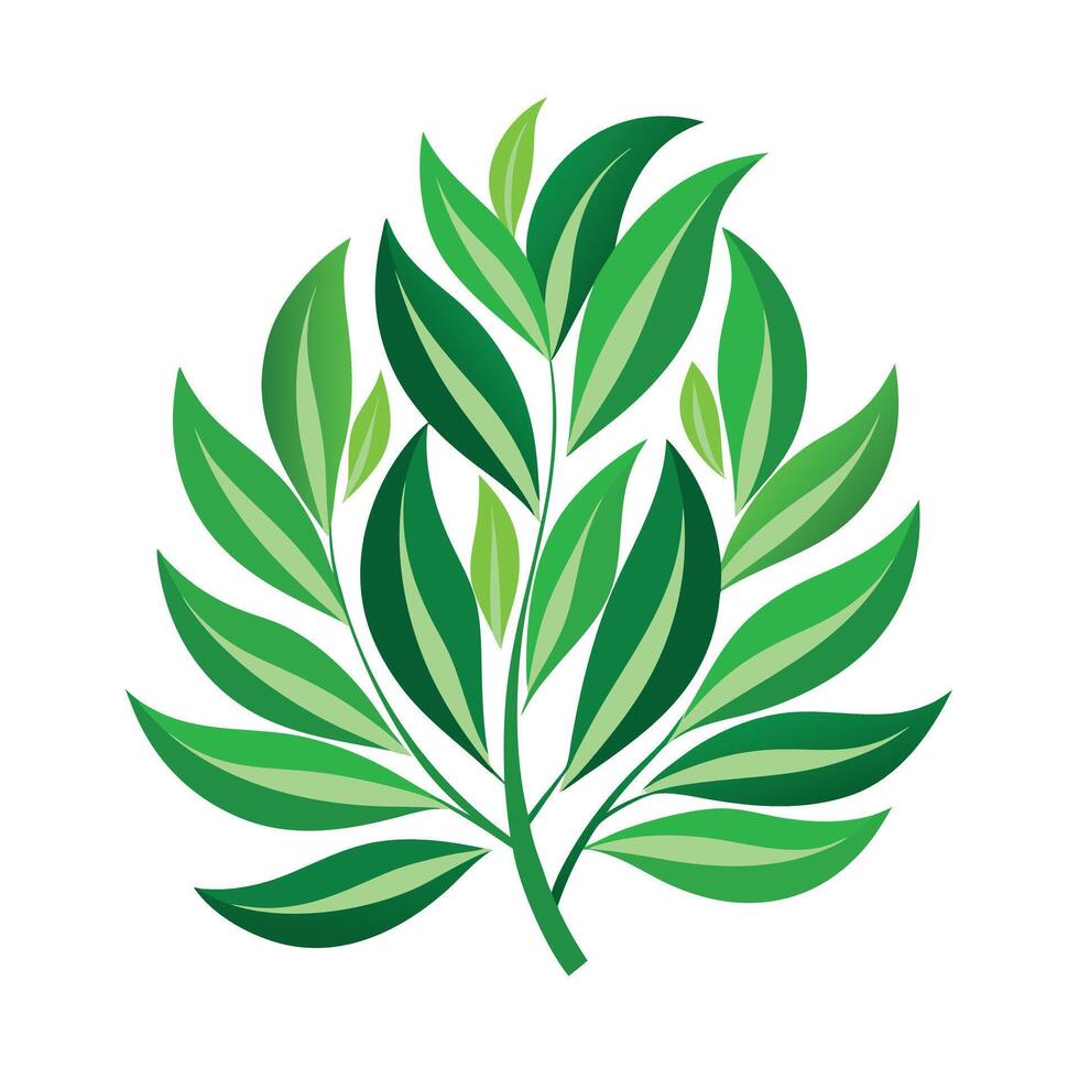 Realistic Beautiful Leaves Illustration vector