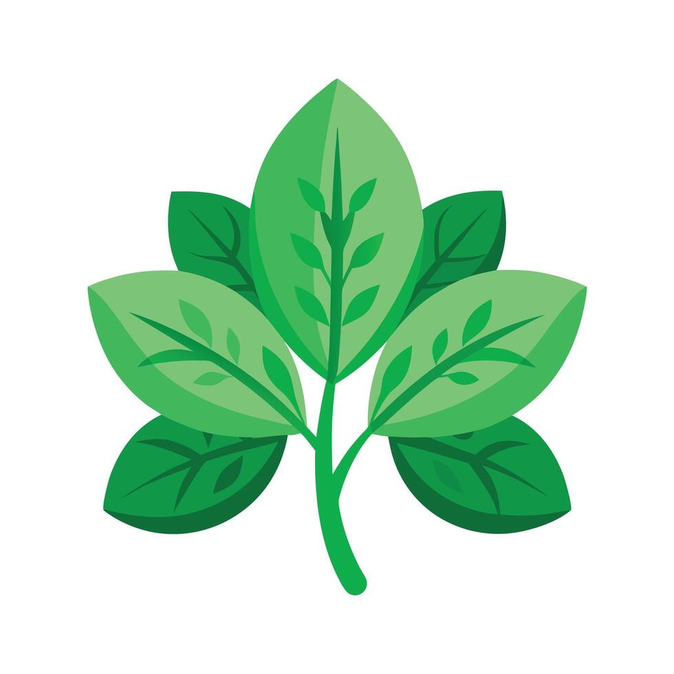 Realistic Beautiful Leaves Illustration vector