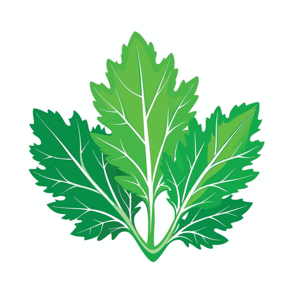 Realistic Beautiful Leaves Illustration vector